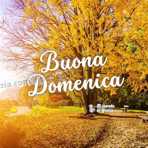 immagini di buona domenica autunnale|foto buona settimana.